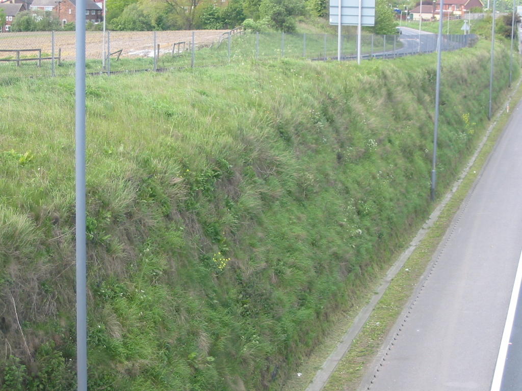 Landscaped Soil Panel